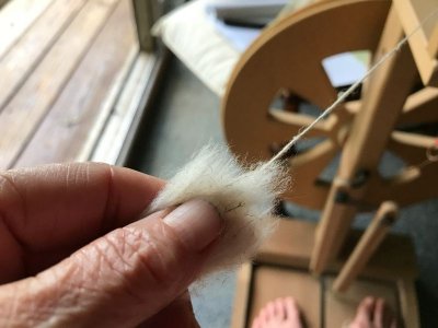 Cotton/Flax spinning fiber