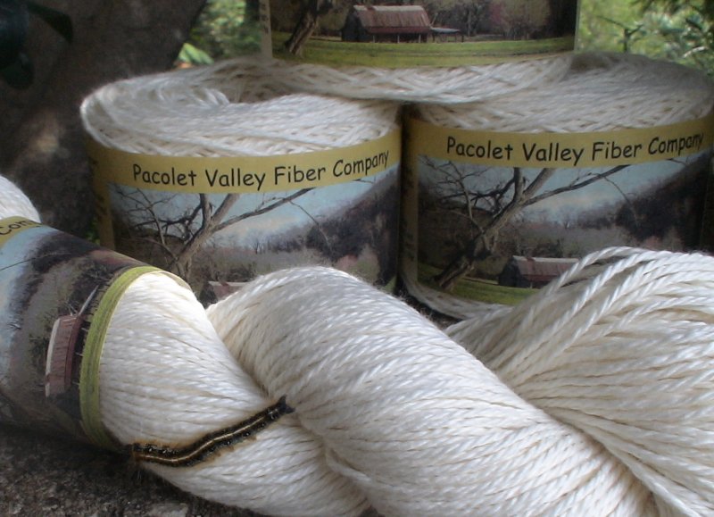 US organic cotton yarn