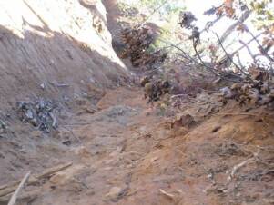 Erosion Control?
