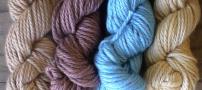 tan, brown, blue, pal yarn colors